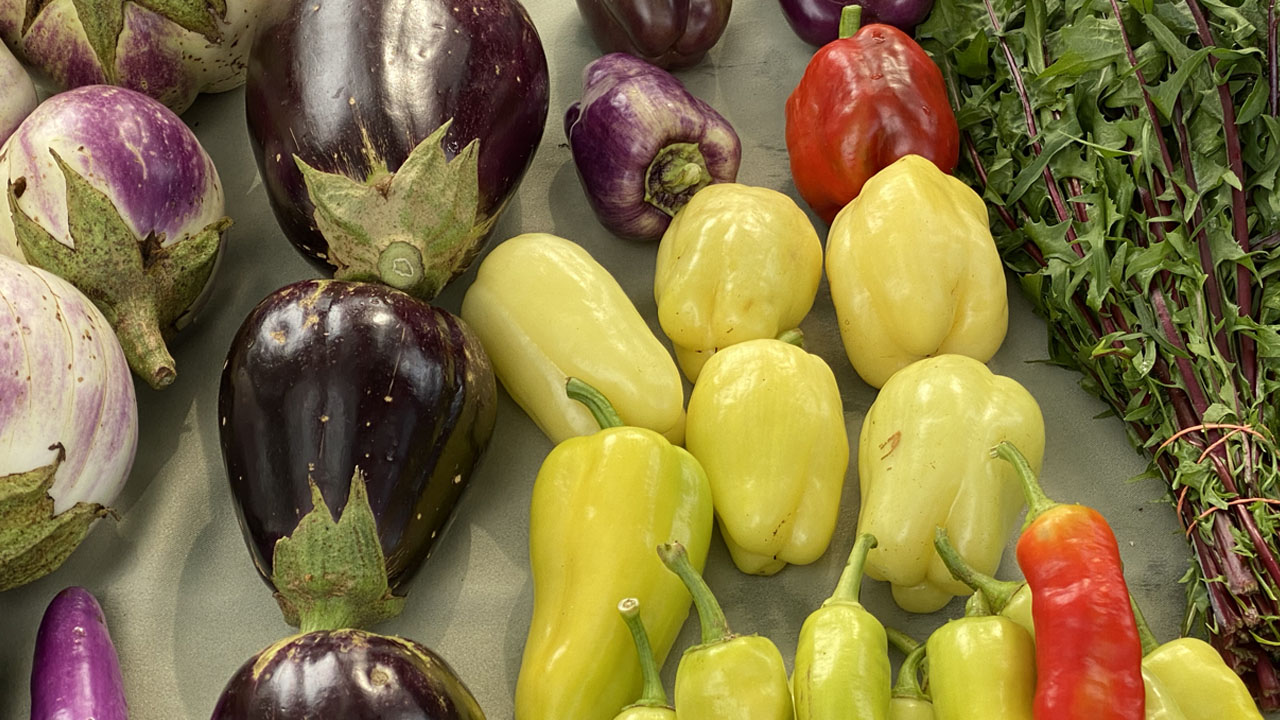 The Pinehurst Farmers Market Stories January 25, 2021 South Carolina ETV
